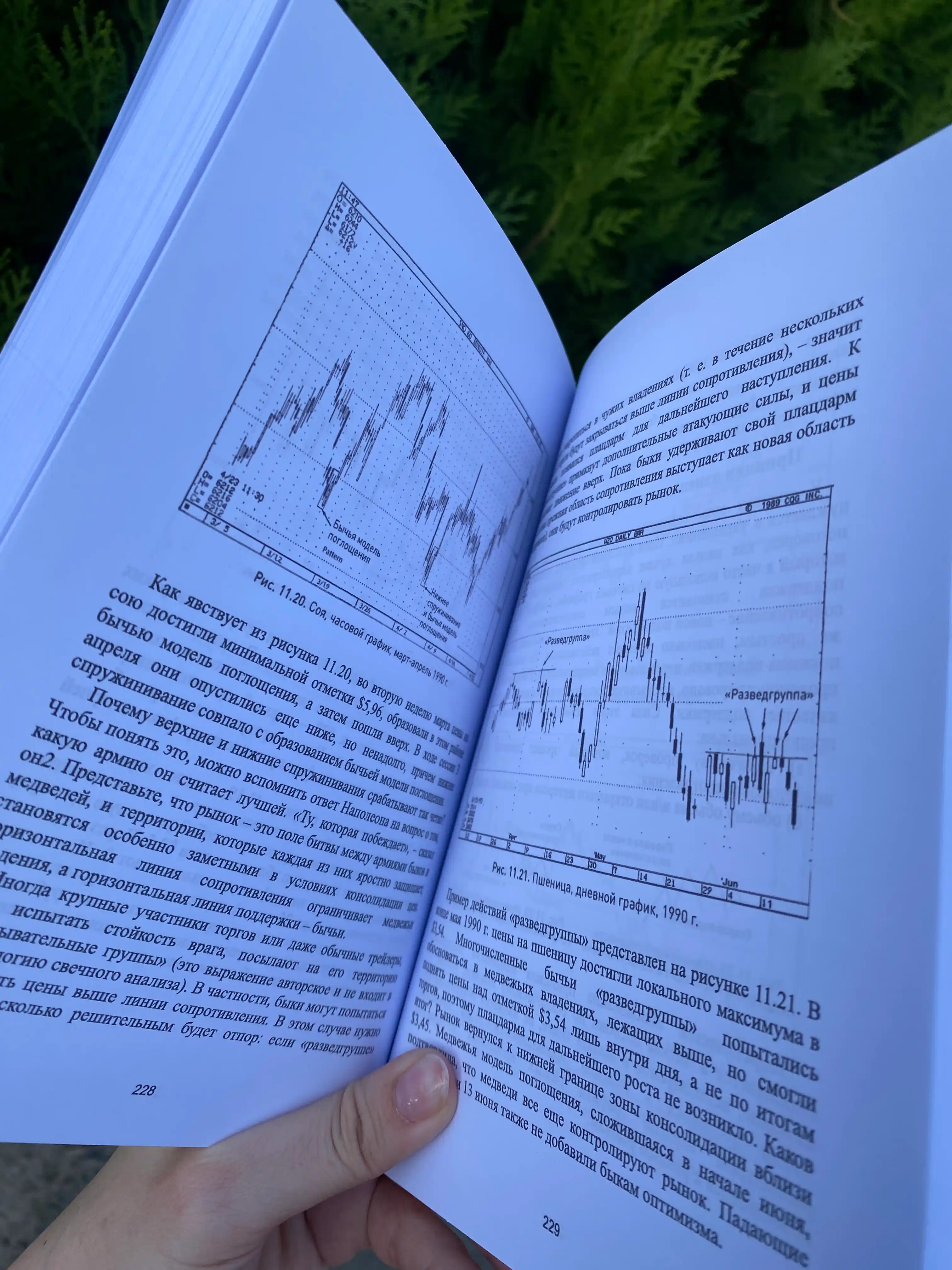 Yaponskiye svechi, Treyding, Investitsii, Stiv Nison