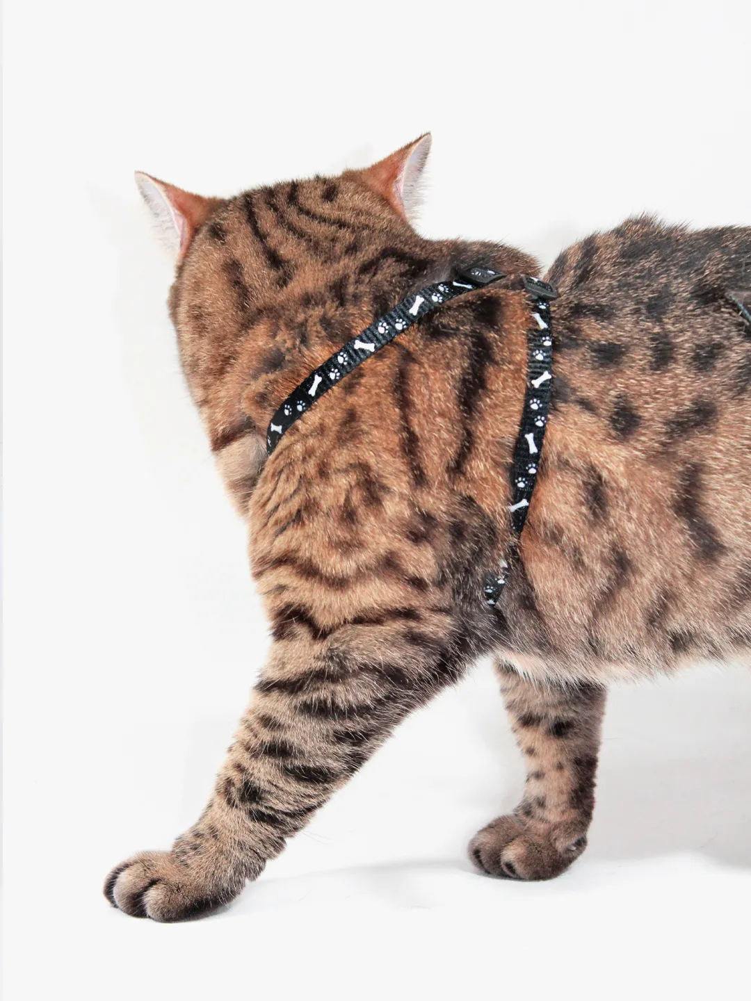 Qozogiston erotik filmlar