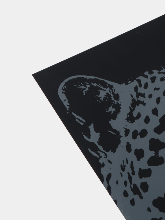 Skretching Lori Krasiviy leopard Gr-760, 30 * 40 sm