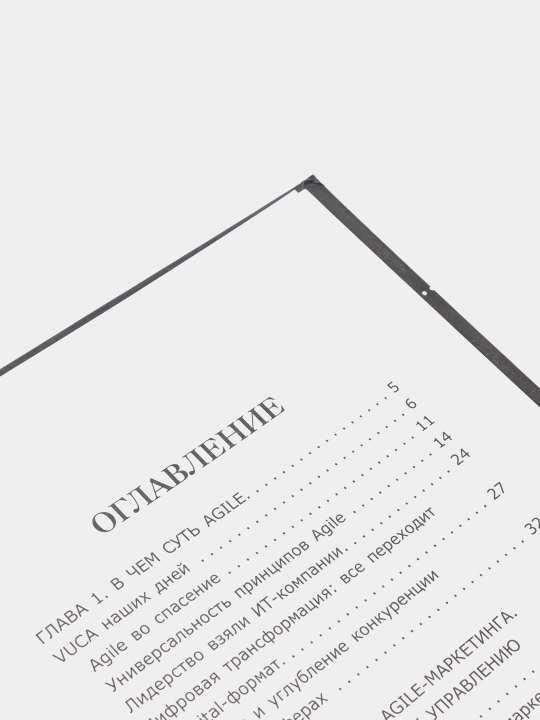 Agile-маркетинг в интернете, Михаил Бакунин