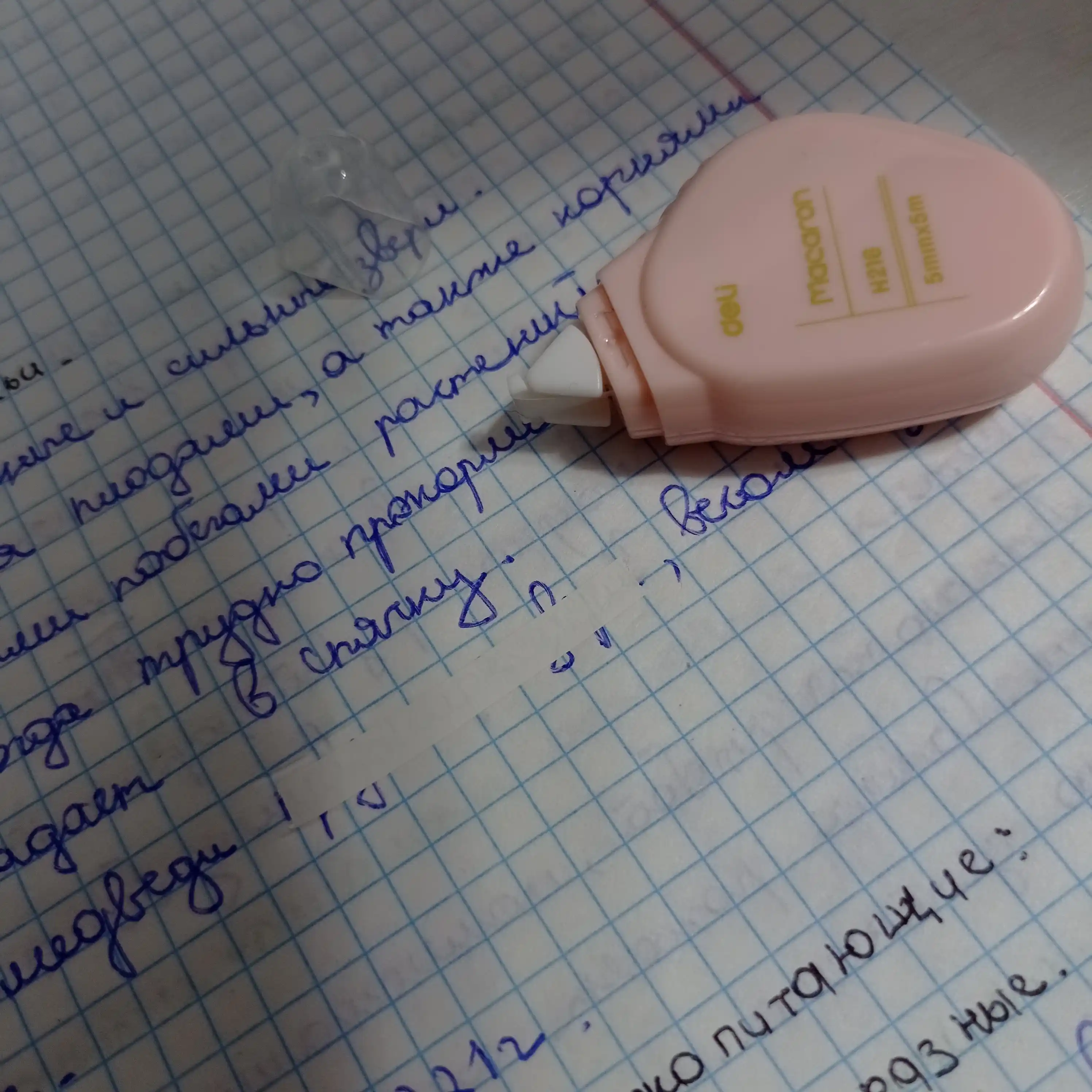 Shtrix lenta 3 dona, Deli H21606