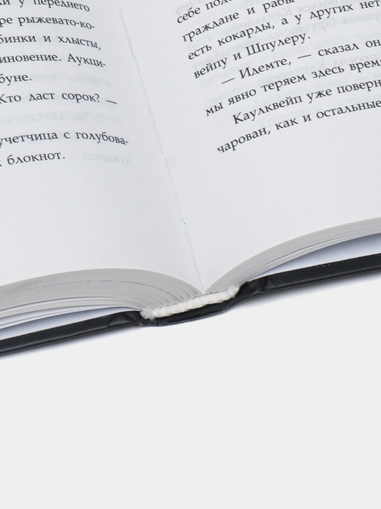 Хроники Края. Полночь над Санктафраксом, Ридделл Крис, Стюарт П
