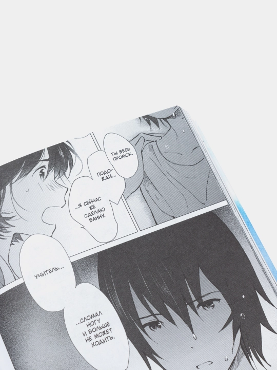 Volch'i deti Ame i Yuki.Mamoru Hosoda. Tom-3