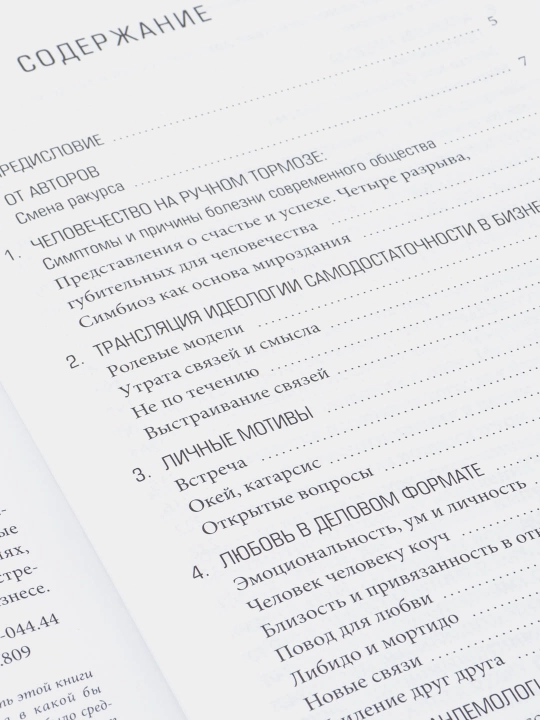 Тандемократия: Искусство "рулить" вдвоем, Гор Нахапетян