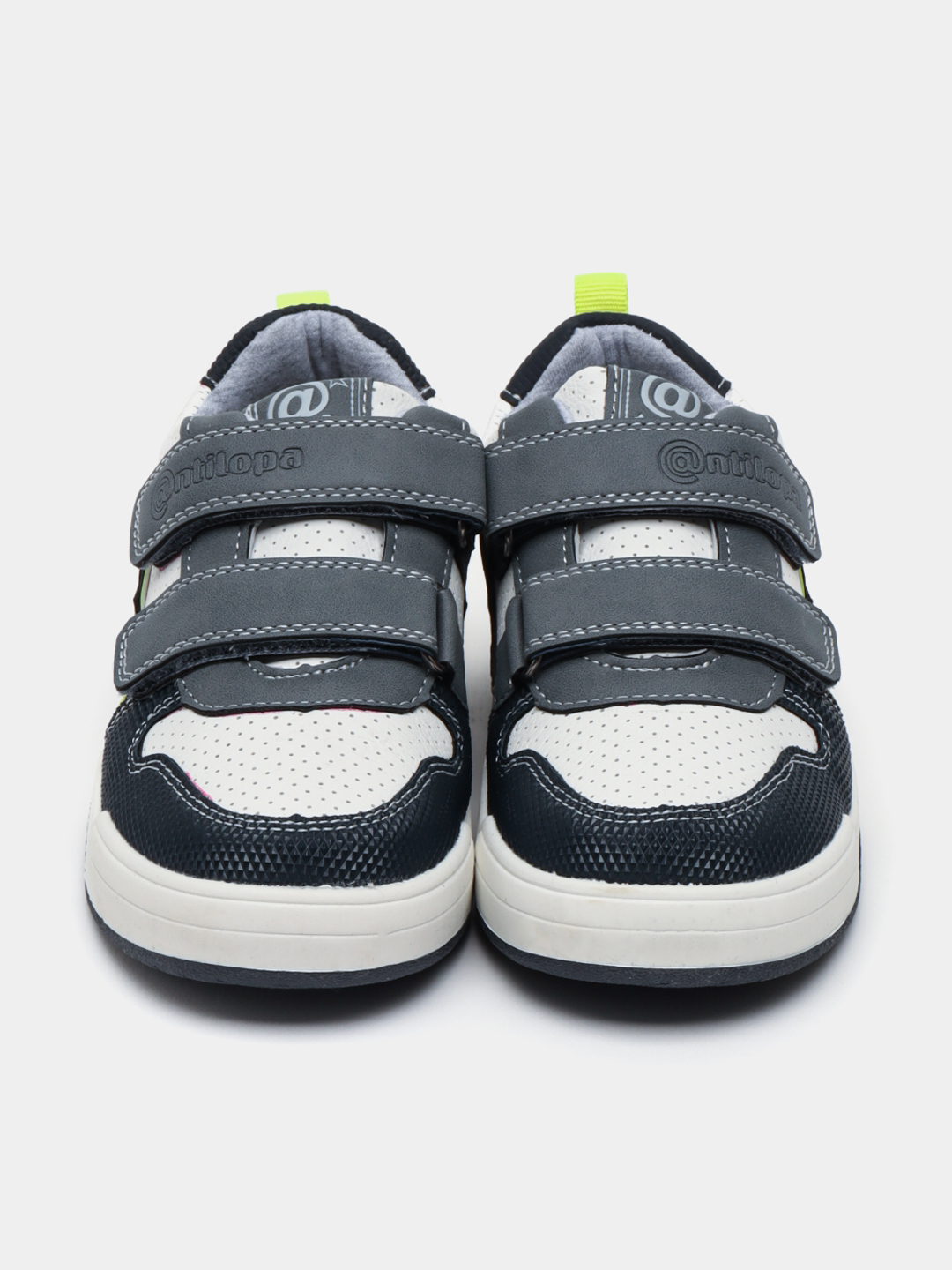 Antilopa jinsi Antilopa jinsi