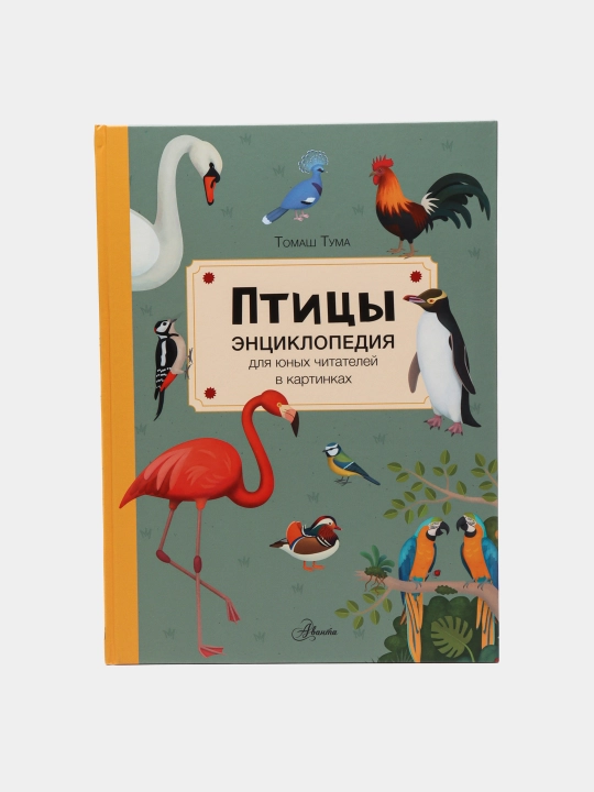 Ptitsy, entsiklopediya, Tomash Tuma - 