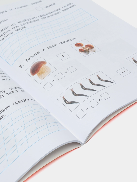 Diagnosticheskiye kompleksniye raboti. Russkiy yazik. Matematika. Okruzhayushiy mir.