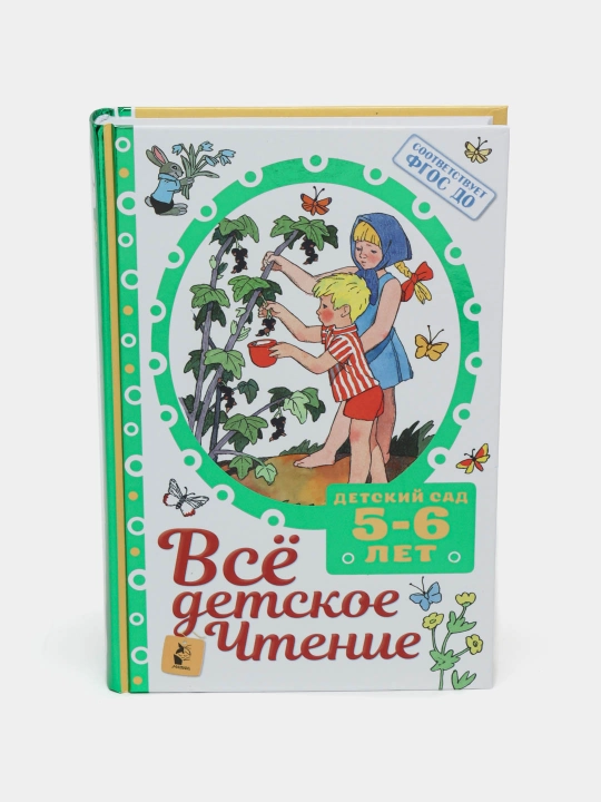 Всё детское чтение. Детский сад 5–6 лет. В соответствии с ФГОС ДО - 