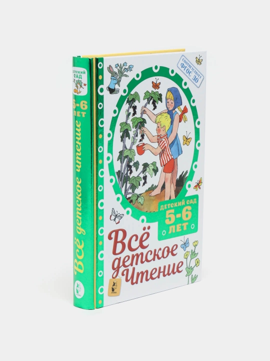 Всё детское чтение. Детский сад 5–6 лет. В соответствии с ФГОС ДО