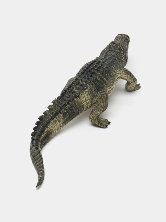 Haykalcha alligator