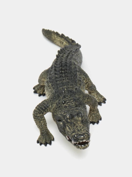 Haykalcha alligator