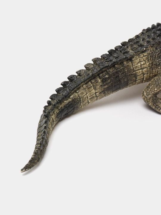 Haykalcha alligator