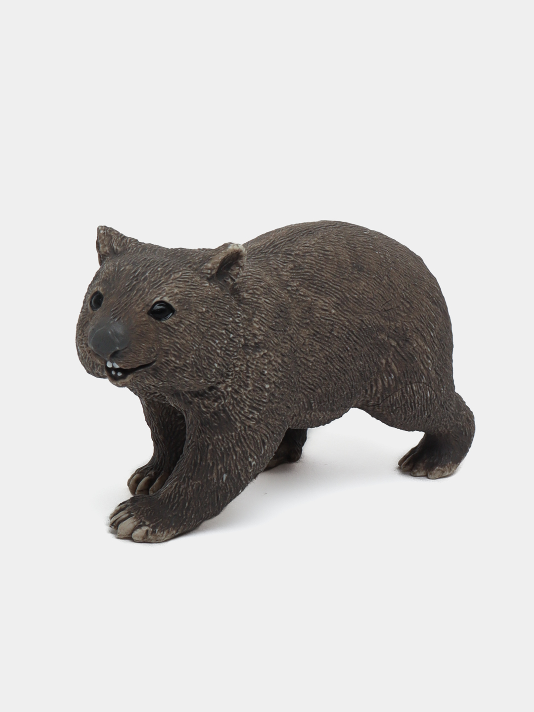 Koala haykalchasi