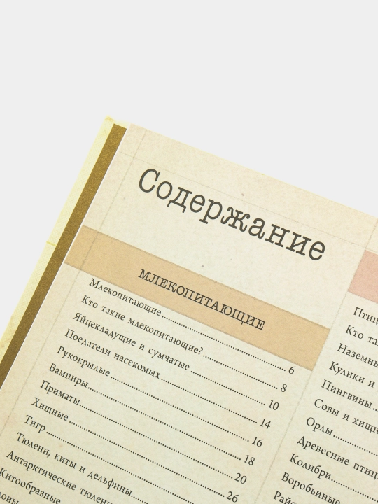 Животные. Детская энциклопедия