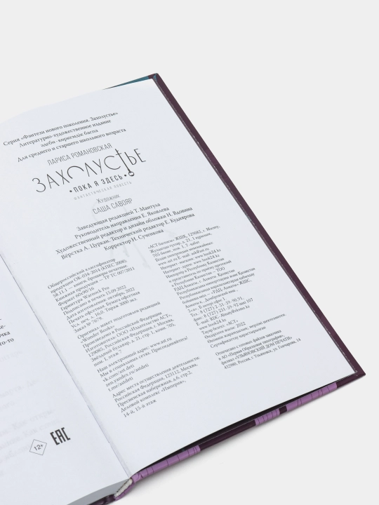 Zaxolust'ye. Poka ya zdes', Romanovskaya Larisa