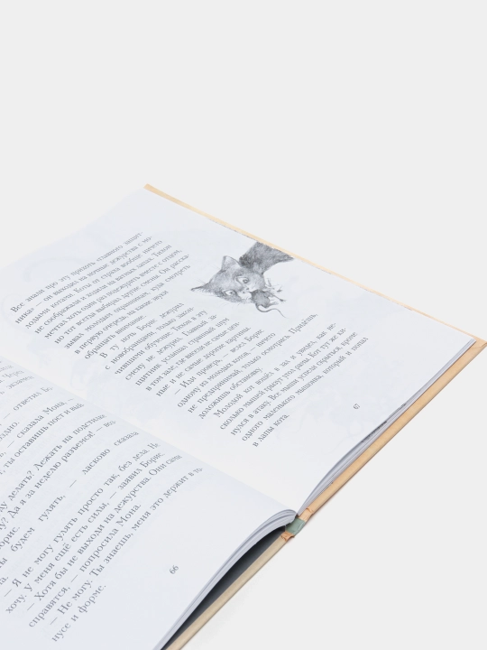 Кот Тихон, или Похищение Голландца, Трауб Маша