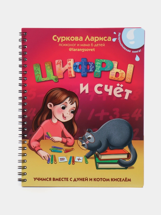"Tsifry i schot: uchimsya vmeste s Duney i kotom Kiselom" Surkova Larisa - 