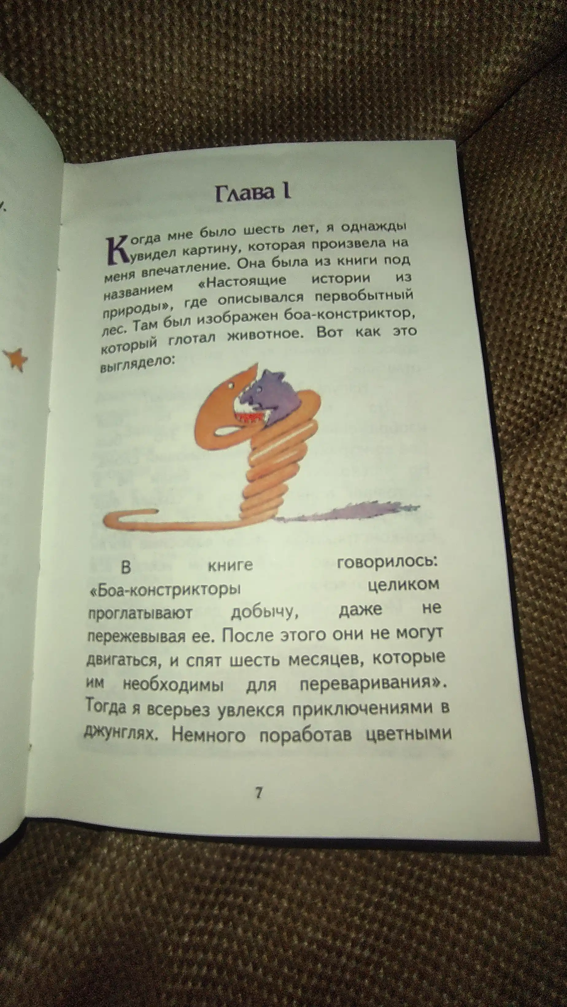 Malenkiy prints, risunki avtora, Antuan de Sent-Ekzyuperi