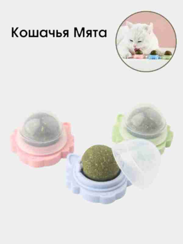 Dunyoning gozal qizlari yalangoch fotosuratlar