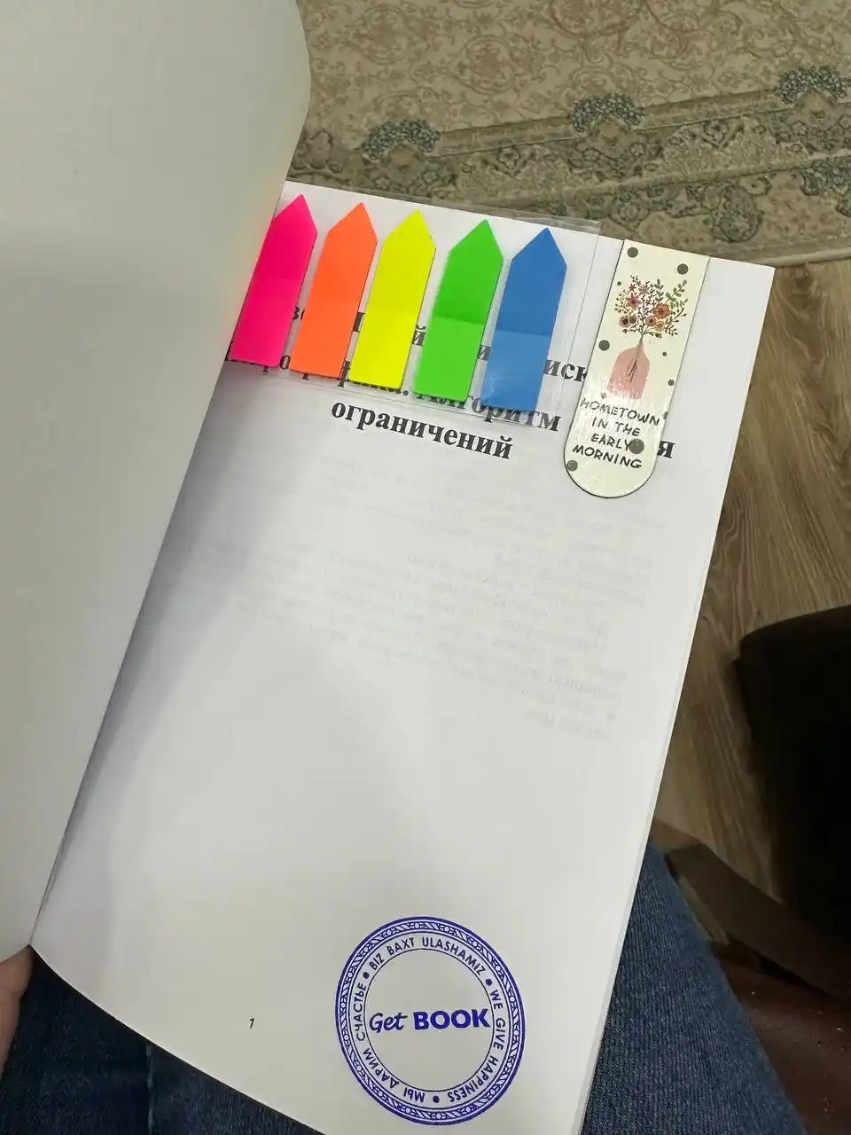 Neyrografika, Algoritm snyatiya ogranicheniy, Pavel Piskarov