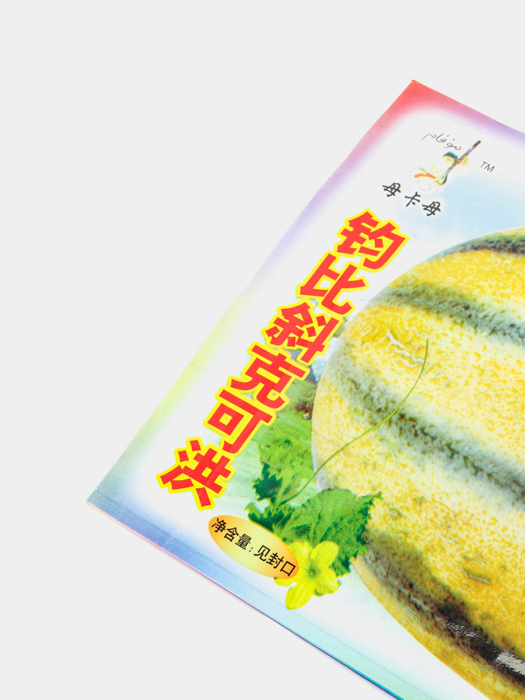 Satkadan qizlarning porno suratlari va videolari