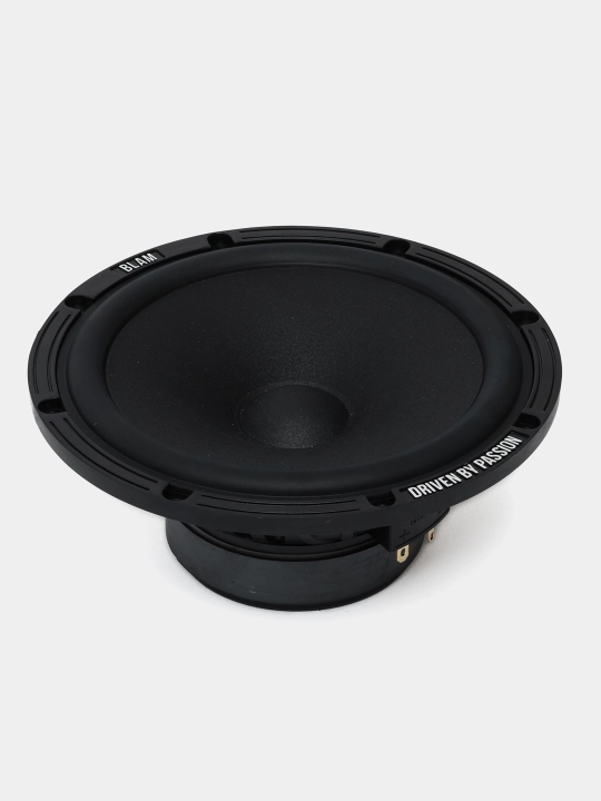 Akustikа uch tomonlama komponentli BLAM 165 R3