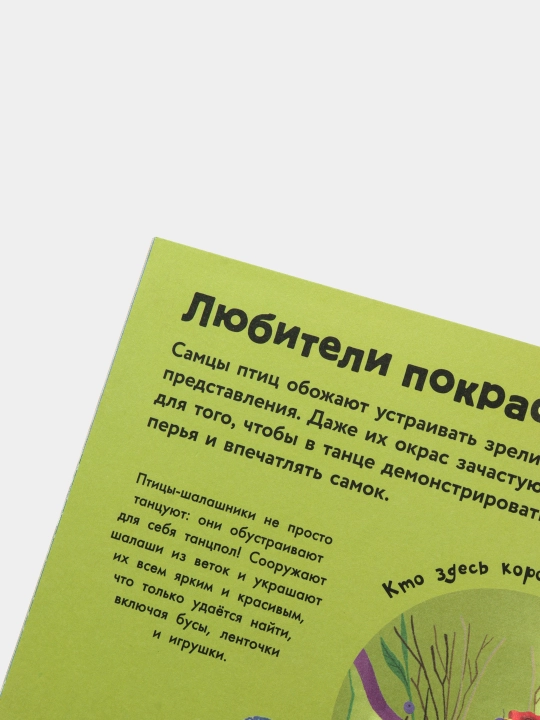 Kakiye byvayut ptitsy? Kamilla de la Beduayer