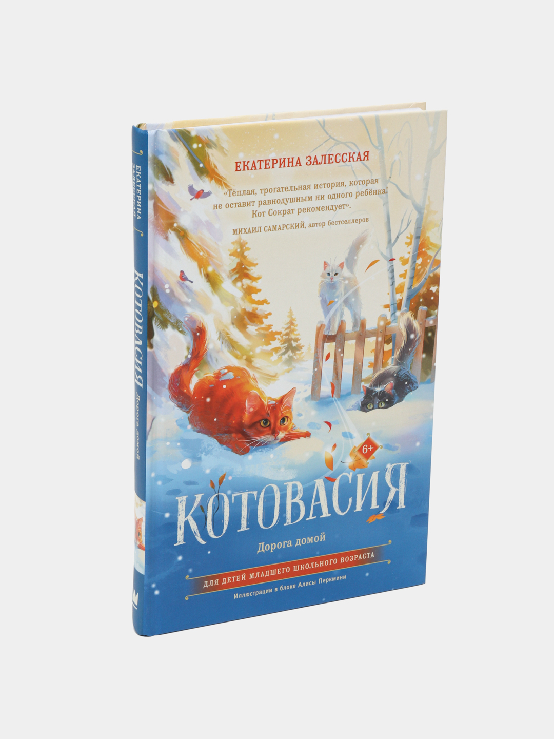 Котовасия. Дорога домой, Екатерина Залесская купить по низким ценам в  интернет-магазине Uzum (555014)