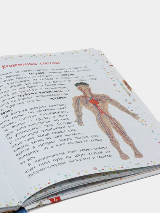Почемучкины сказки о том, как устроен человек. Иванова В. Монвиж-Монтвид А