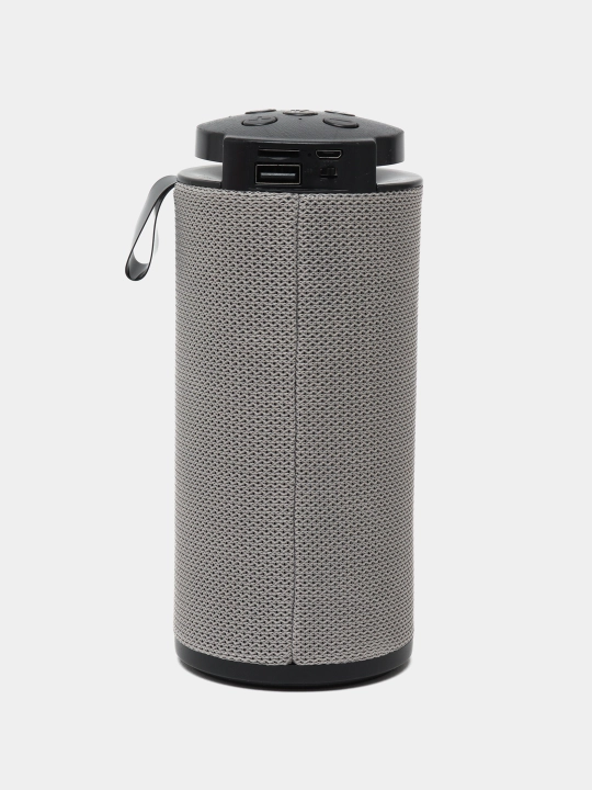 Portativ kolonka GT 112, yoritgichli