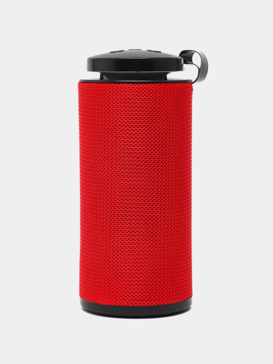 Portativ kolonka GT 112, yoritgichli