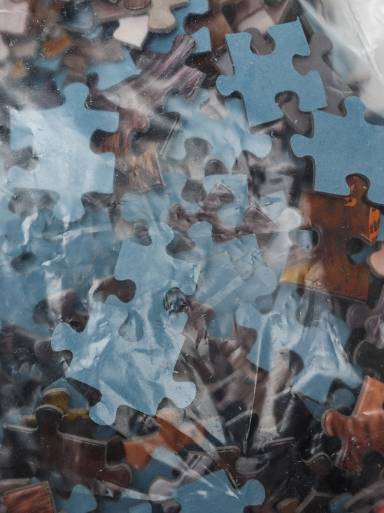 Мозаика "puzzle" 1000 "Бенте Шлик. Волк" 79109