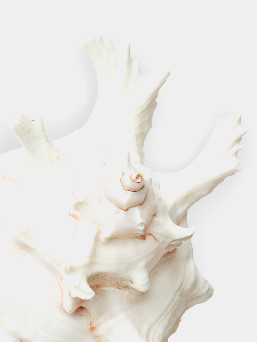 Ogizni oqizadigan videolar Yosh mulatto porno video