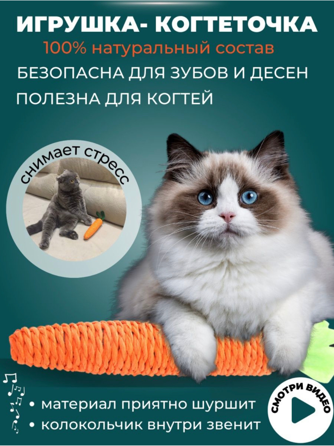 Ayol porno fotosuratlar