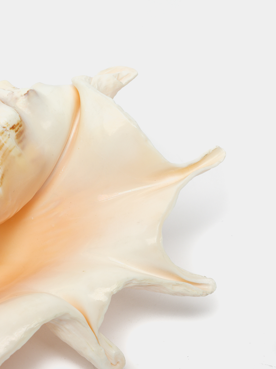 Kelajakdan yalangoch mehmonning fotosurati Kolbasa bilan onanizm fotosuratlari