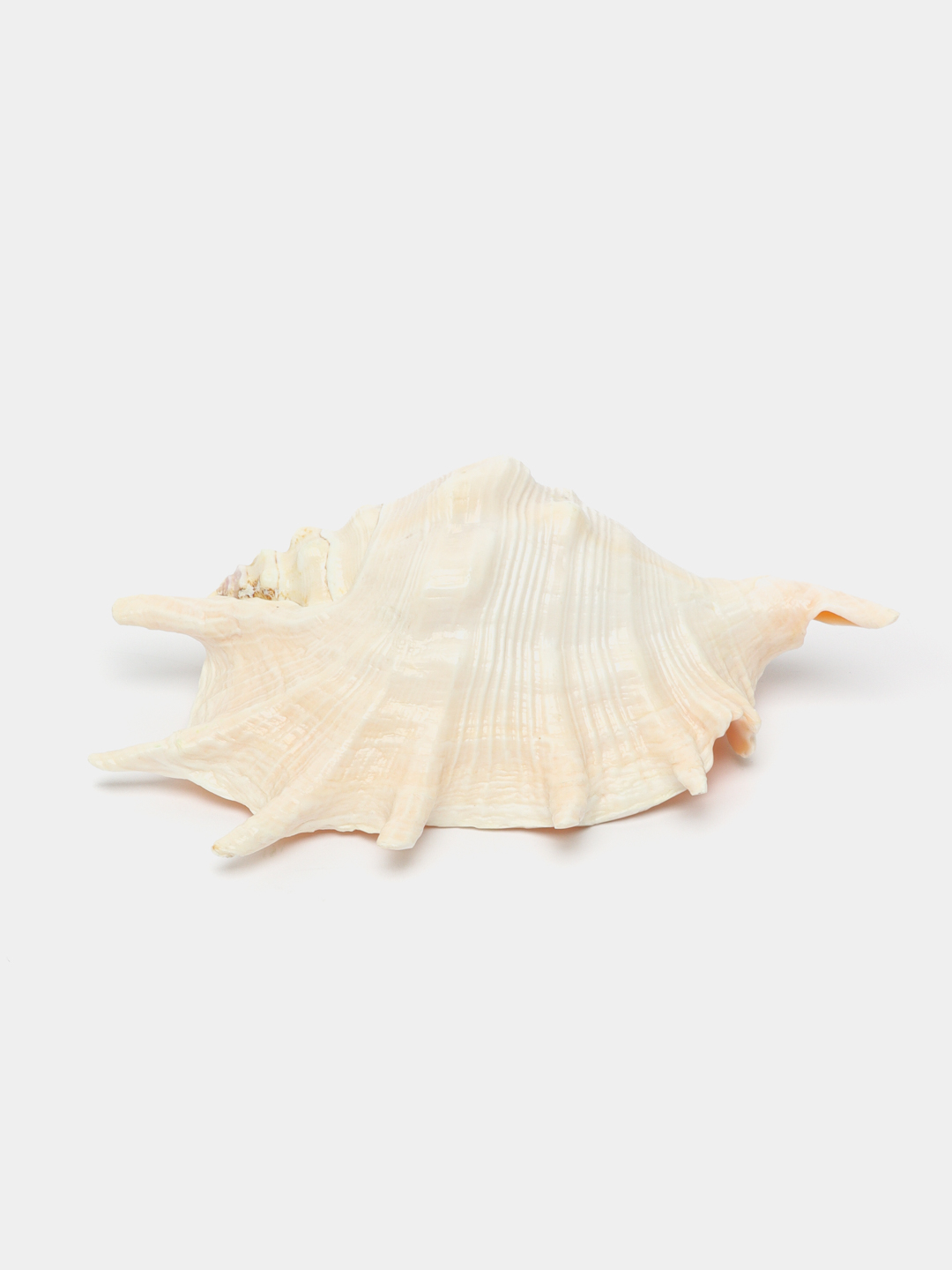 Yosh gimnastikachi ozini qoshnining bolasiga berdi Onlayn porno video bilan haqiqiy sik