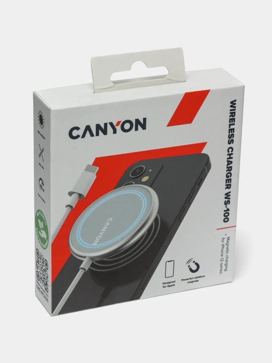 Зарядная станция CANYON WCS100
