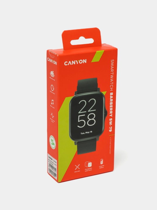Умные часы Canyon SW79