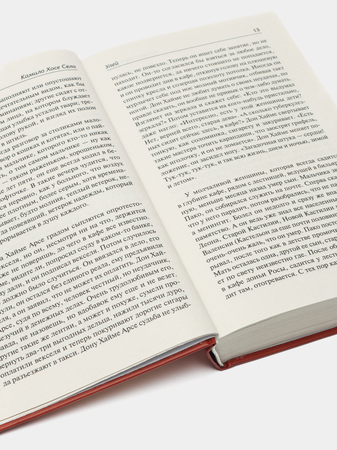 Mushukdan qanday tugish haqida video