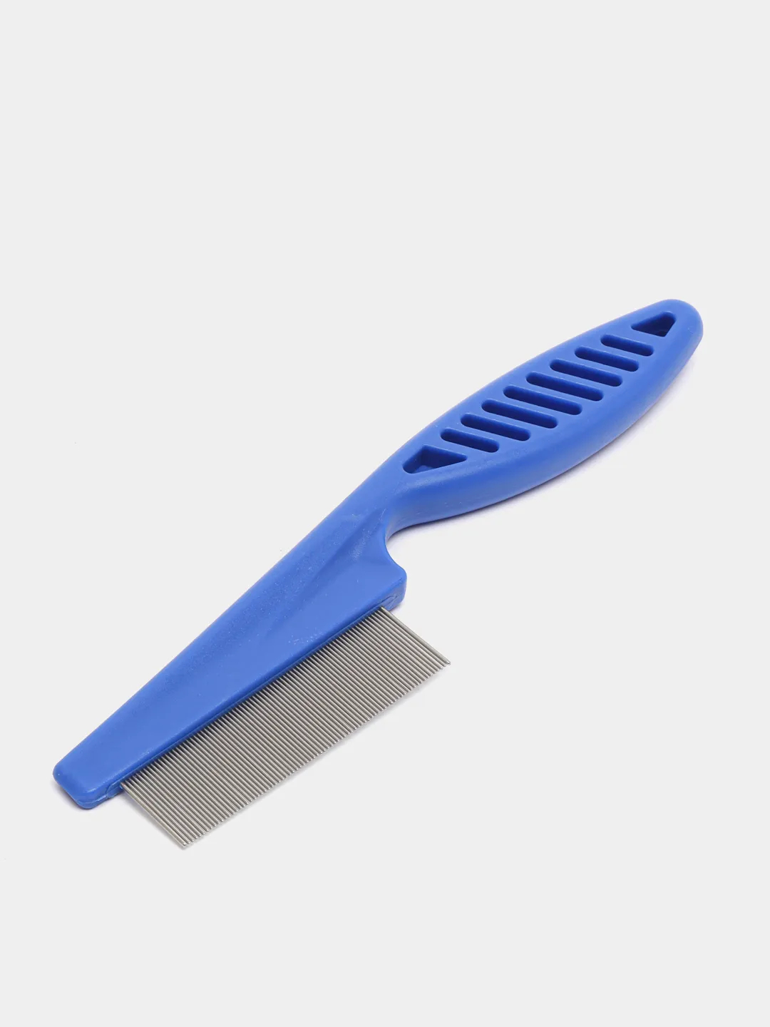 Jazoirlik ayolning porno suratlari