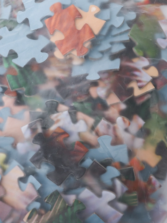 Мозаика "puzzle" 6000 "Величественный тигр" 85501