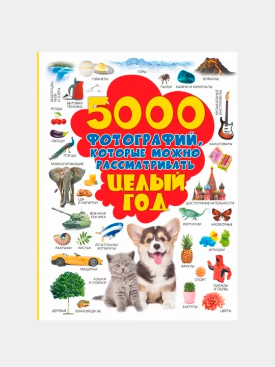 5000 фотографий, которые можно рассматривать целый год