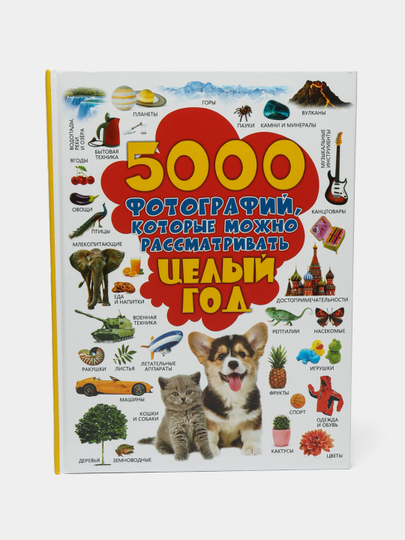 5000 Картинок Книга Целый Год