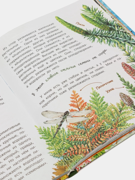 Почемучкины сказки о динозаврах, Акимушкин Игорь Мультановская Дарья Громов Виктор