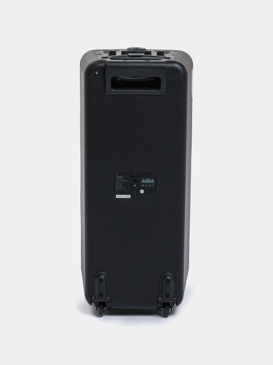Portativ kolonka Fenda PA300 100W