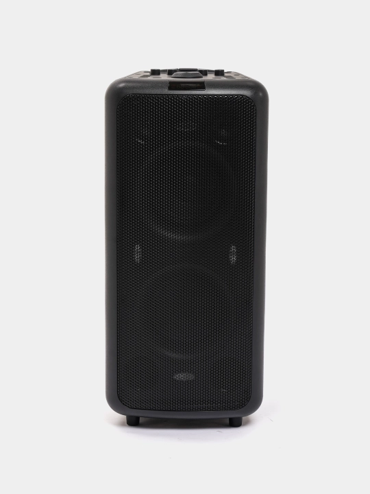 Portativ kolonka Fenda PA300 100W