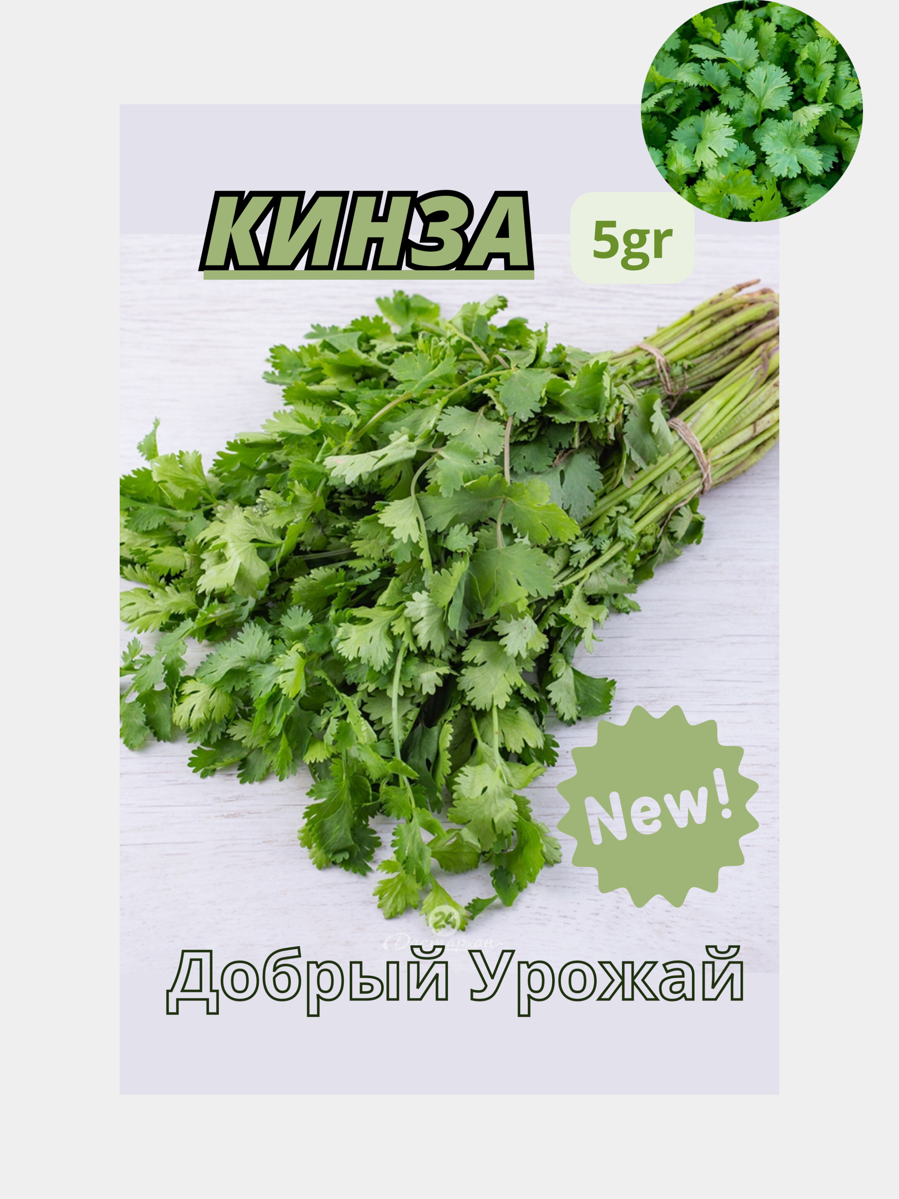Редис кинза