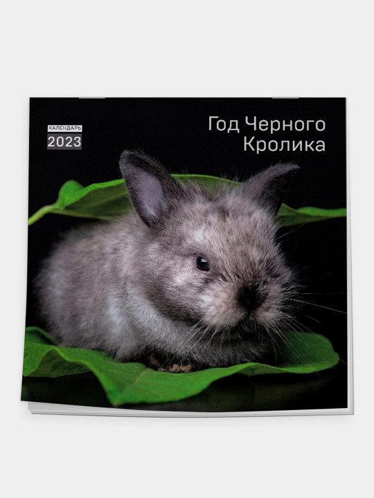 Год черного кролика. Календарь настенный на 2023 год, 300 * 300 мм) - 
