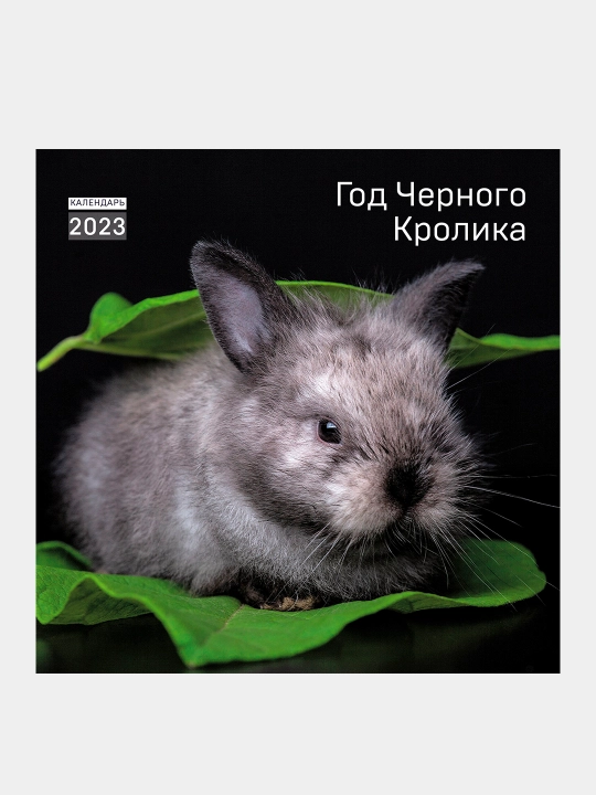 Год черного кролика. Календарь настенный на 2023 год, 300 * 300 мм)