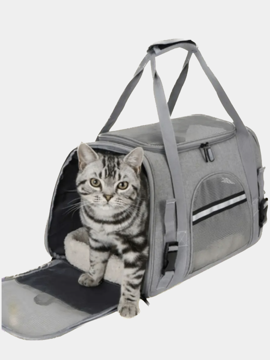 Porno video 5 daqiqagacha belkurak